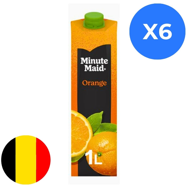 Minute Maid Orange 1L x6