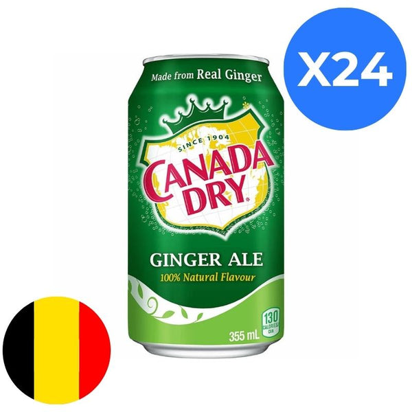 Canada Dry 33cl x24 BE